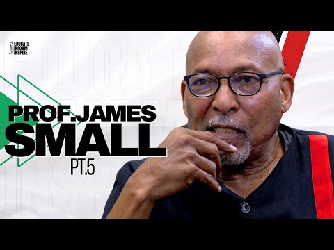 Prof. James Small Talks Immigrants Putting So Many Black People On The Unemployment Line Without....