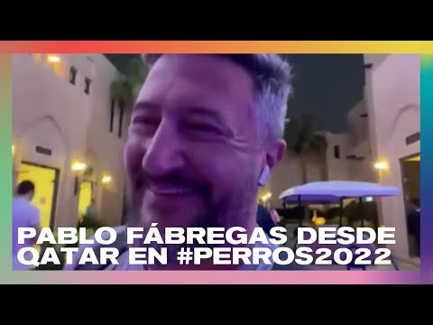 Pablo Fábregas desde la noche qatarí en #Perros2022