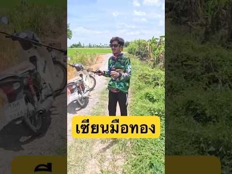 ล่าสุดตกใบไม้แล้วครับshorts