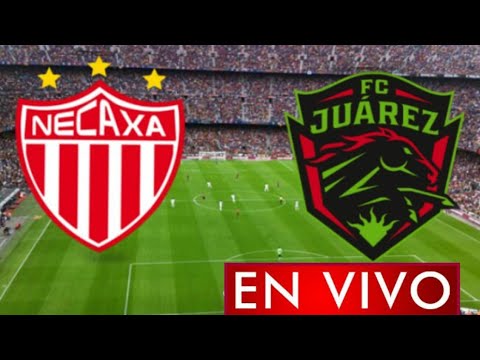Donde ver Necaxa vs. Juárez en vivo, por la Jornada 12, Liga MX 2021