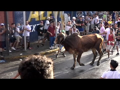 Corrida de Toros avivan las fiestas patronales de Managua