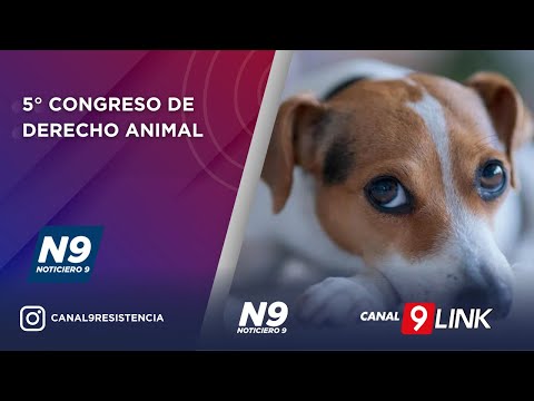 5° CONGRESO DE DERECHO ANIMAL  - NOTICIERO 9