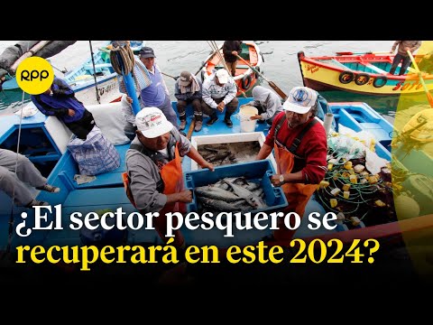 Sector pesquero tendría un rebote económico del 17.5% durante el 2024