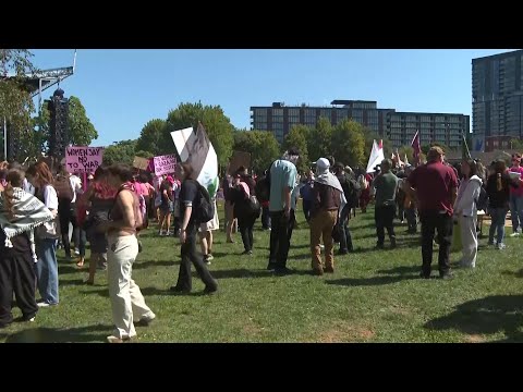 Protesters plan large marches, rallies as DNC kicks off in Chicago