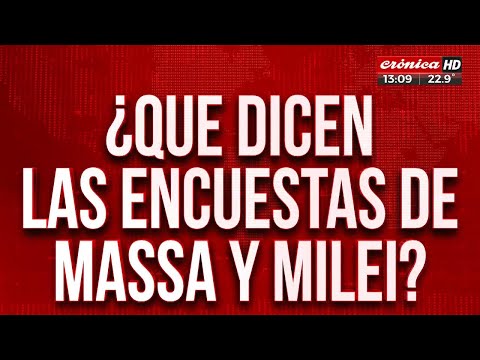 Massa - Milei, la pelea final: ¿Qué dicen las últimas encuestas?
