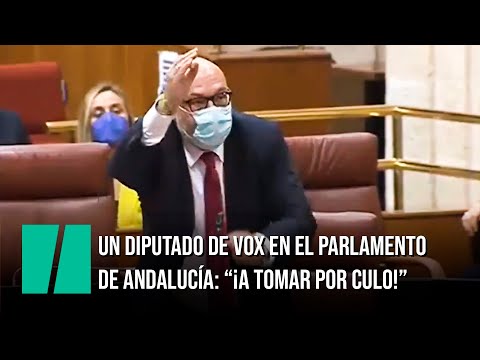 Un diputado de Vox se enfada y manda a tomar por culo a la presidenta del Parlamento de Andalucía