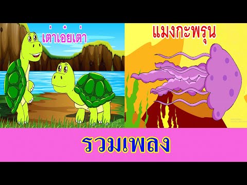 รวมเพลงเต่าเอ๋ยเต่ากับแมงกะพ