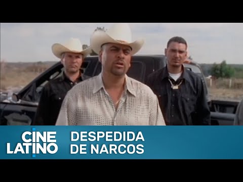 Despedida de narcos | RESUMEN | Cinelatino