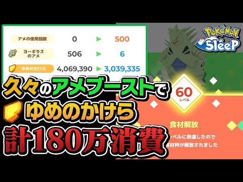 2匹目のバンギラスを育成した結果、ゆめのかけらが吹っ飛びました【ポケモンスリープ】