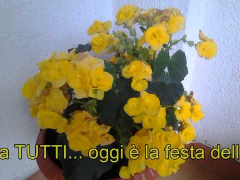 buongiorno pavarotti scaricare