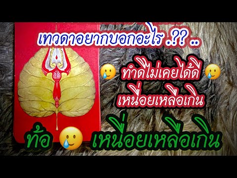 🔴คำสื่อสารจากฟ้าเทวดาอยากบอกอ