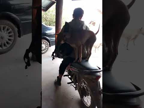 สนิมขึ้นเขาแล้ว