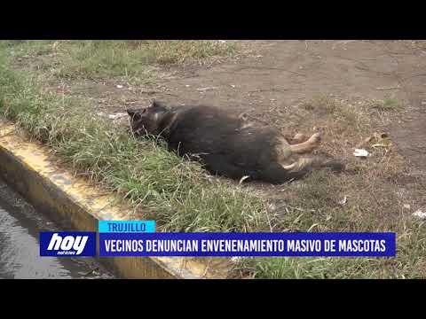 Vecinos denuncian envenenamiento masivo de mascotas
