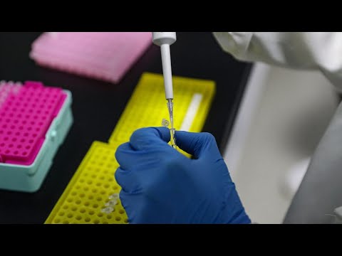 Vaccin contre la grippe : un million de seringues produites par jour, à base d'œufs de poules