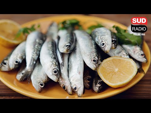 Et si les sardines, harengs et anchois venaient remplacer la viande rouge ?