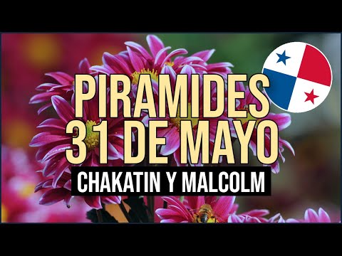 Pirámide Lotería de Panamá Miércoles 31 de Mayo 2023  - Pirámide de Chakatin y Malcolm Ramos