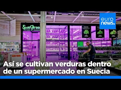 ¿Por qué esta granja vertical sueca cultiva verduras dentro de los supermercados?