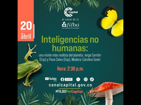 ? EN VIVO | Inteligencias no humanas: una visión más realista del planeta con Jorge Carrión | FILBO