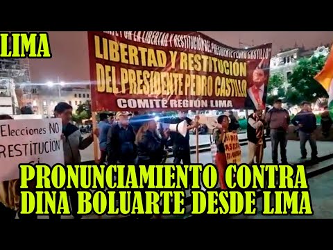 PROTESTAS CONTINUAN DESDE PLAZA SAN MARTIN EXIGEN LA RENUNCIA DINA BOLUARTE Y LIBERTAD DE CASTILLO