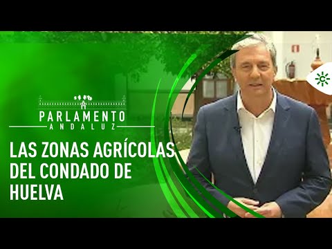 Parlamento andaluz | Mejoras de las zonas agrícolas del condado de Huelva