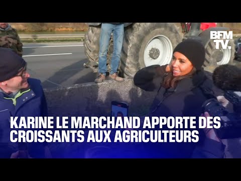 Karine Le Marchand apporte des croissants aux agriculteurs sur l'A4