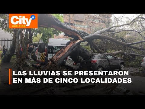 Fuertes lluvias causaron estragos en Bogotá: la caída de un árbol afectó a seis vehículos | CityTv