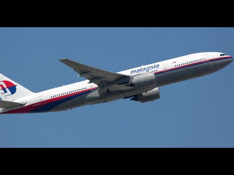 Disparition du vol MH370 : le mystère résolu grâce à des coquillages ?