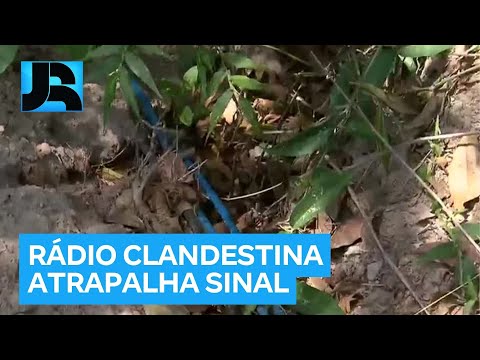 Operação desativa cinco rádios clandestinas em área de mata na Grande São Paulo