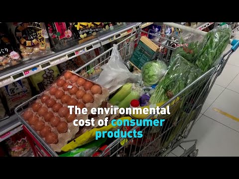 The environmental costs of consumer products