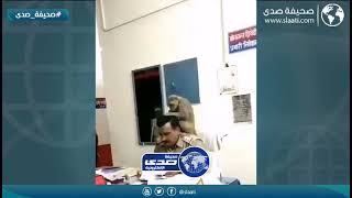 الضابط مستغل القرد وقت الدوام