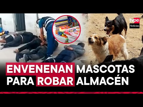 Huachipa: delincuentes envenenan a mascotas para robar almacén de útiles escolares
