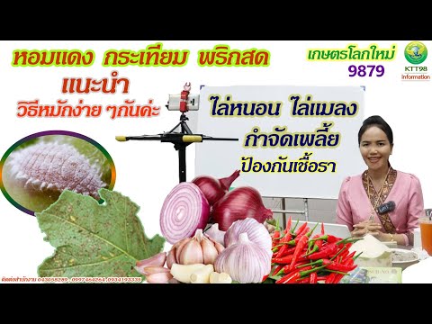 กำจัดหนอน-เพลี้ย-แมลง-เชื้อรา- กำจัดหนอน-เพลี้ย-แมลง-เชื้อรา-