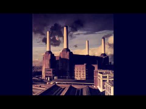 Pigs Three Different Ones (short version) - Pink Floyd