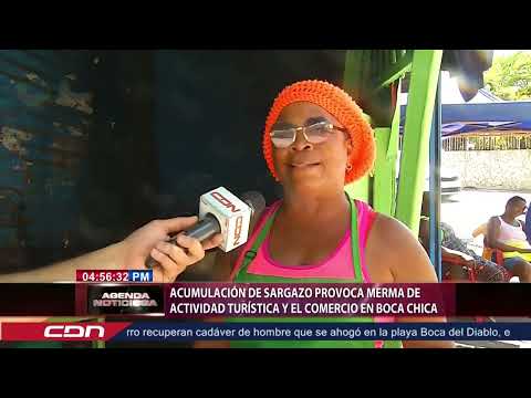 Acumulación de sargazo provoca merma de actividad turísticas y el comercio en Boca Chica