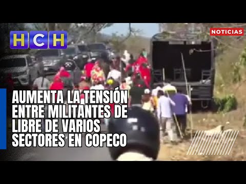 Aumenta la tensión entre militantes de Libre de varios sectores en COPECO
