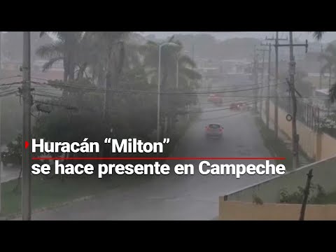 HURACÁN MILTON | Campeche sufre afectaciones por lluvias; sin clases y sin puertos