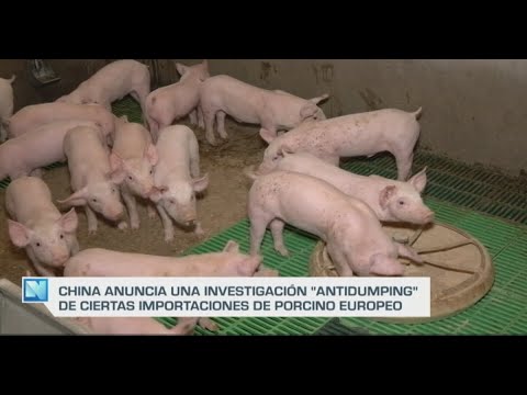 El Campo | China abre una investigación antidumping al porcino | 17/06/24