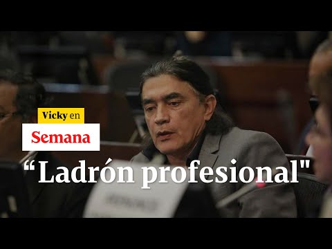 Gustavo Bolívar es un ladrón profesional de energía: Bruno Díaz | Vicky en Semana