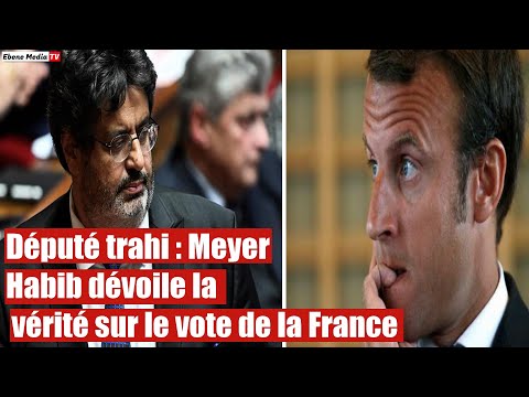 Meyer Habib trahi par la France: Scandale après son vote sur la Palestine
