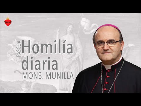 Homilía 14.04.2023 /Viernes de la Octava de Pascua