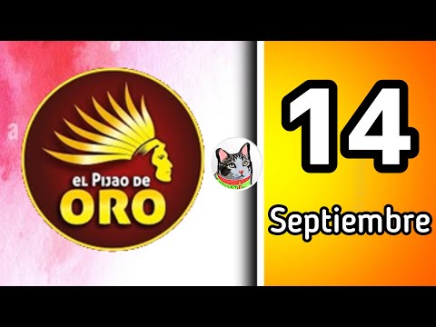 Resultado EL PIJAO DE ORO Sabado 14 de Septiembre de 2024