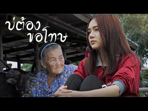 บ่ต้องขอโทษ-เหมยอรทัยCoverV