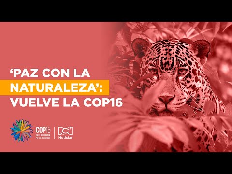 Vuelve la COP16: ¿Cómo avanza la organización  en Cali?