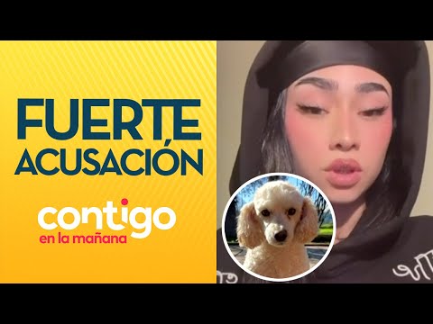CANTANTE RESPONDIÓ: Acusan a abuelo de Paloma Mami de matar perro de vecino - Contigo en la Mañana