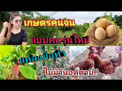 เกษตรพอเพียงต้นทุนต่ำทำ2ปีมี