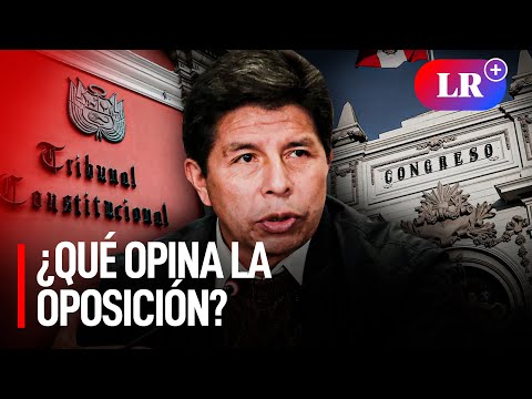 Pedro Castillo: Tribunal Constitucional pide anular informe por traicio?n a la patria
