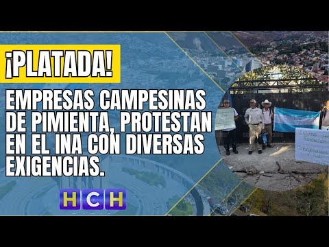 Empresas campesinas de Pimienta, Cortés protestan en el INA con diversas exigencias