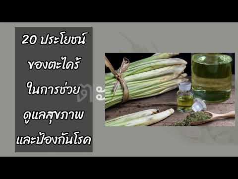 ประโยชน์20อย่างของตะไคร้ในกา