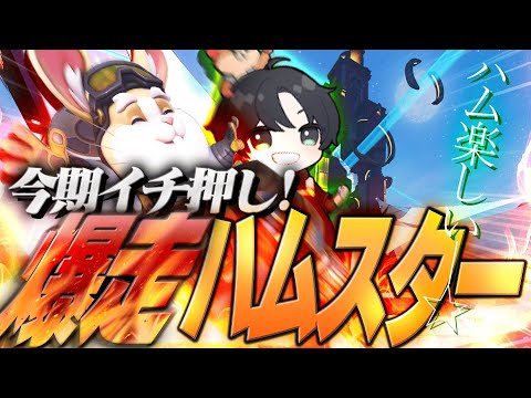 大会でも魅せたKSGハムがAATLISを駆け回る！パックを食べつくす驚異の食欲を見よ！【オーバーウォッチ2/OW2】