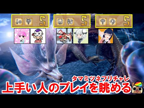 チャレンジクエストタマミツネ　上手い人のプレイを眺める配信　モンハンワイルズ